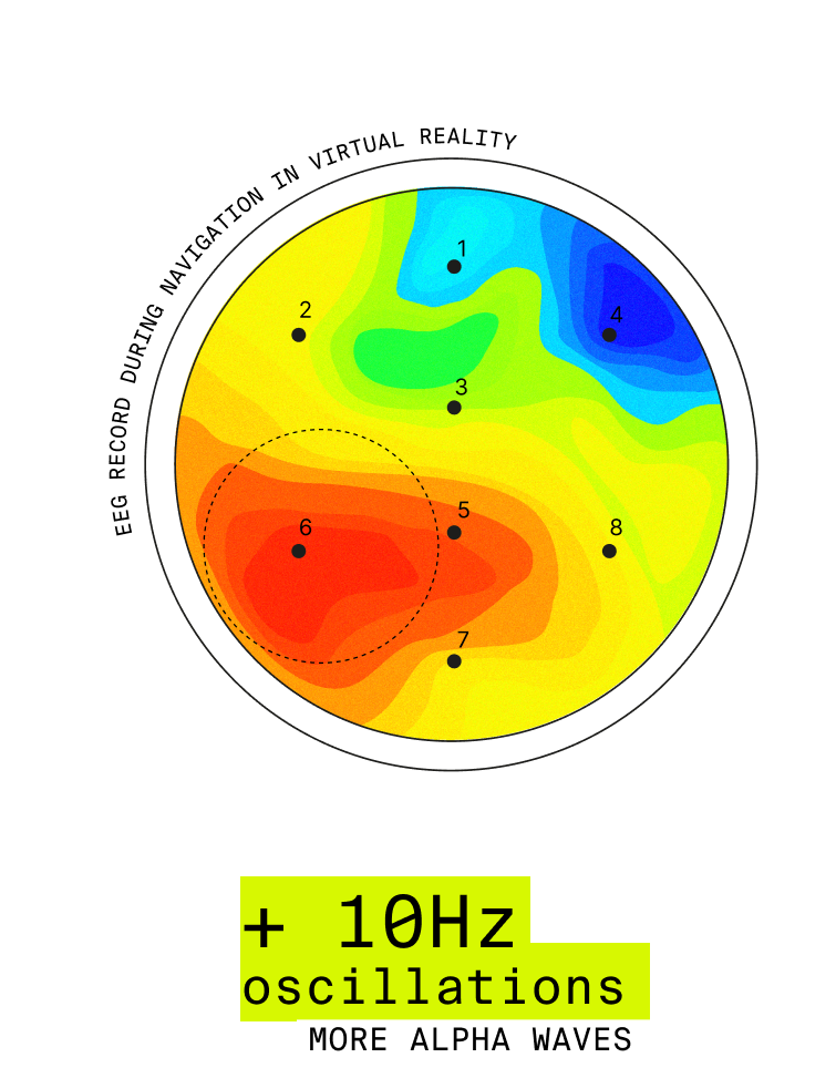 EEG Neurodriven Layout